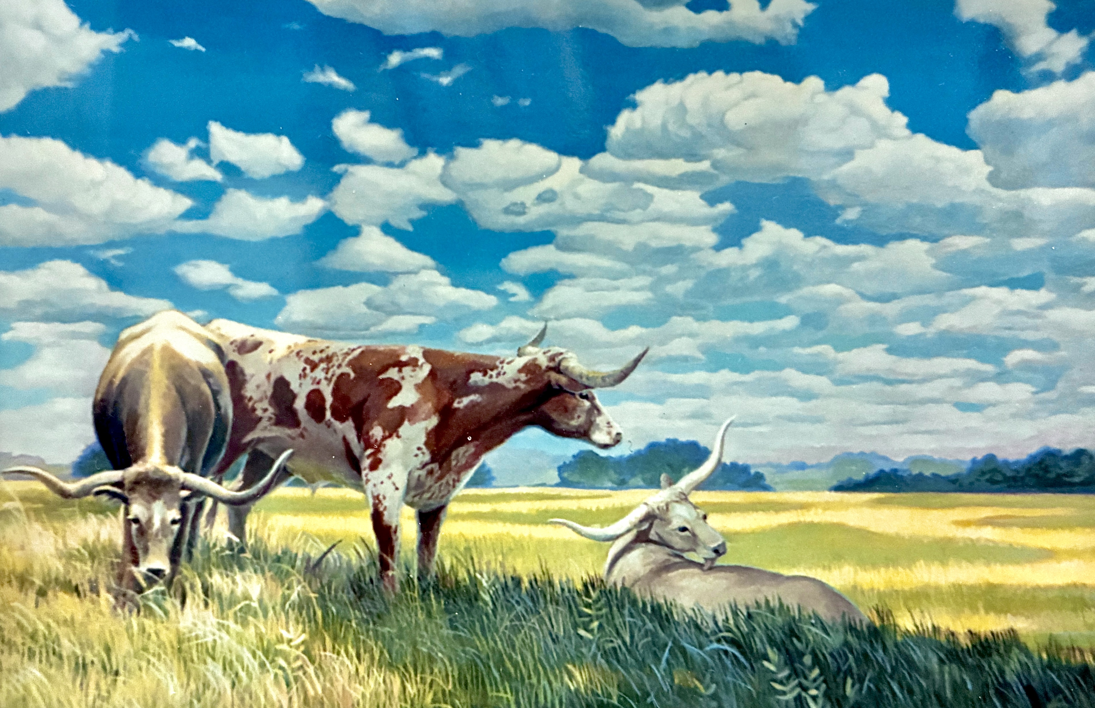 Prosperity ~ Texas Longhorns