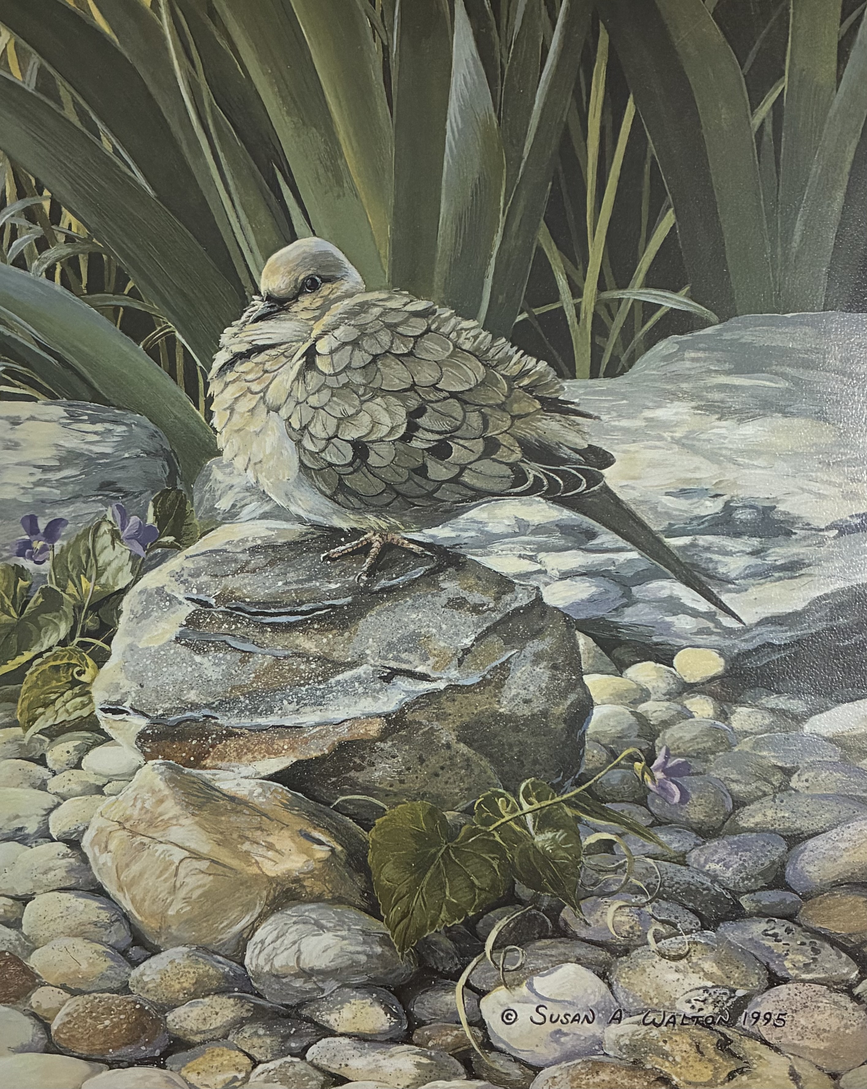 The Inmost Place ~ Mourning Dove