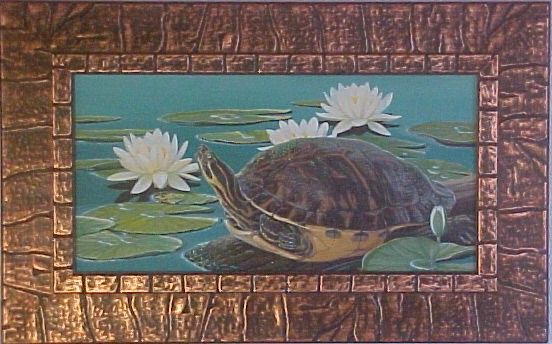 Sunny Side Up ~ Florida Peninsula Cooter