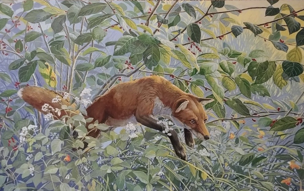 Leap of Faith ~ Red Fox and Jewelweed