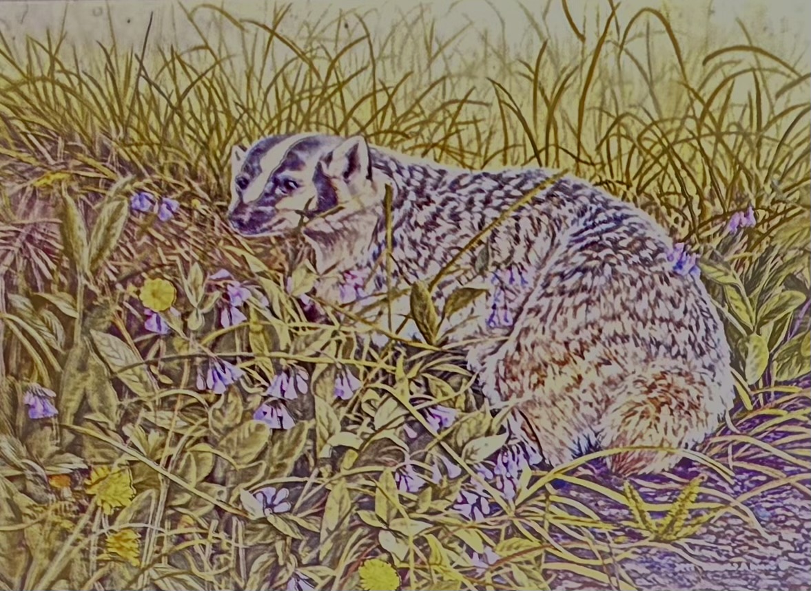 With Strength In My Soul ~ North American Badger