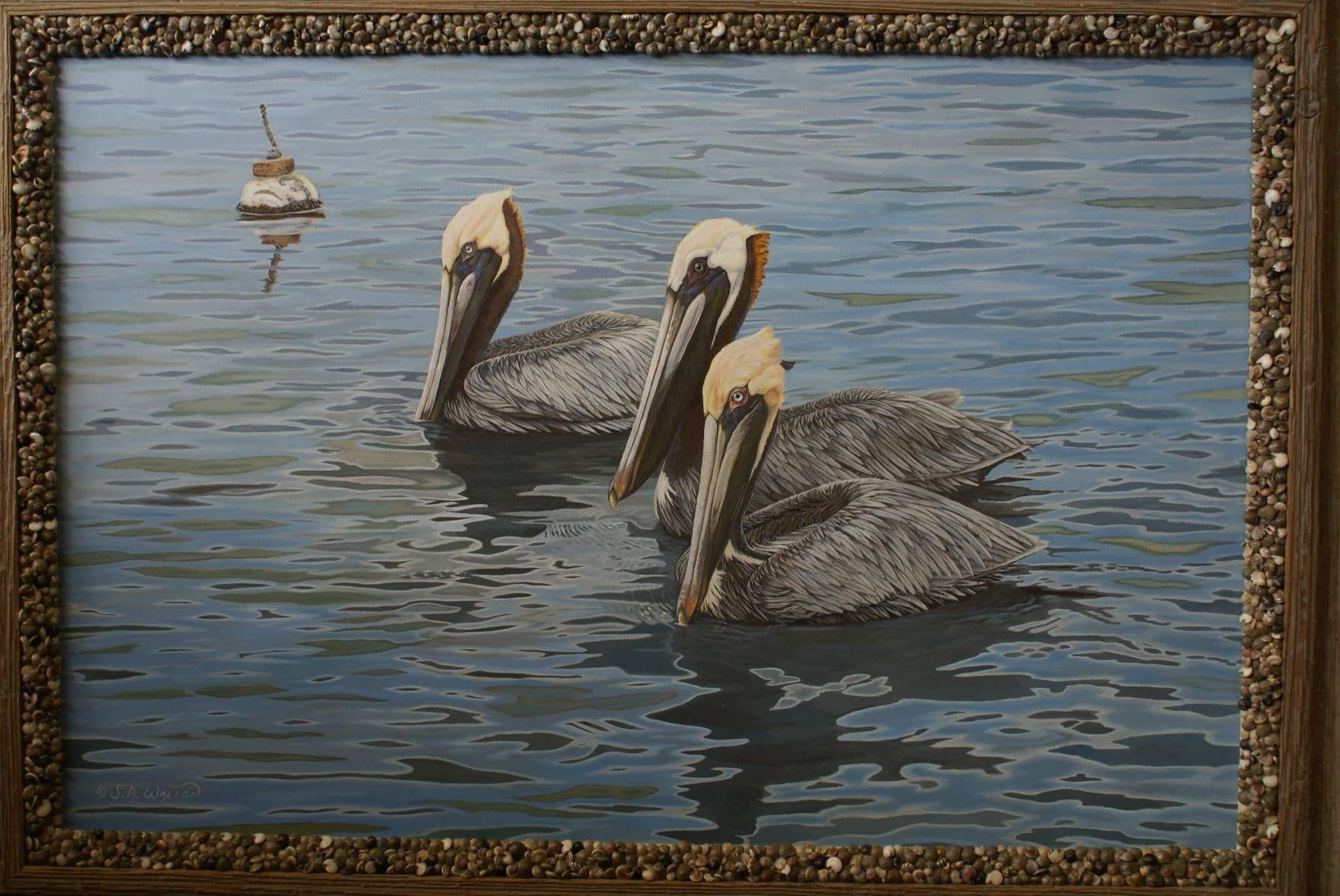 Shore Patrol ~ Brown Pelicans